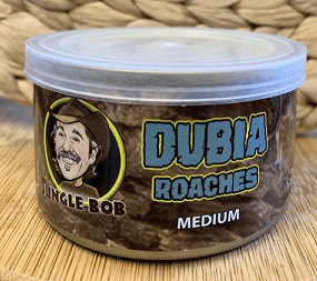Jungle Bob Dubia Roaches In A Can Medium (Approx 25Ct)
