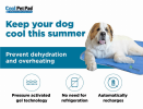Cool Pet Pad