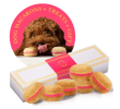 Dog Macarons - Box of 6 (Available in 12 Flavors)
