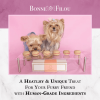 Dog Macarons - Box of 6 (Available in 12 Flavors)