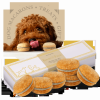 Dog Macarons - Box of 6 (Available in 12 Flavors)